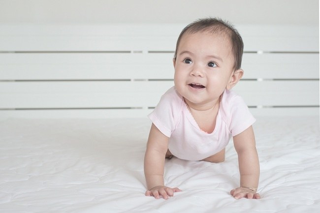 bayi 7 bulan