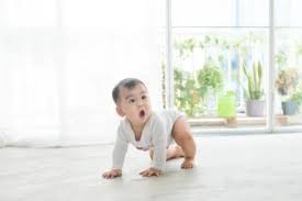 bayi 8 bulan